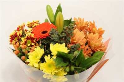 Boeket Extra Orange 9-10 T