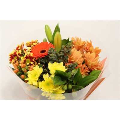 Boeket Extra Orange 9-10 T