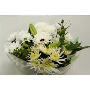 Boeket Extra White 9-10 T