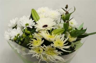 Boeket Extra White 9-10 T