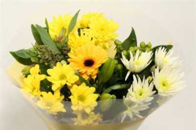 Boeket Extra Yellow 9-10 T