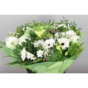 Boeket Gerb Mini White X3