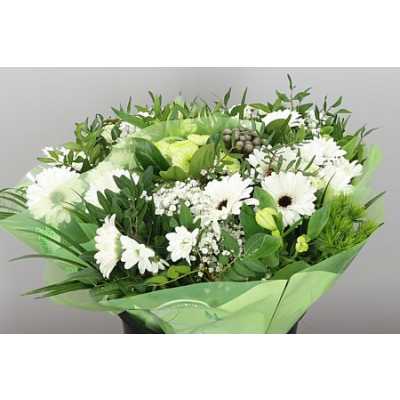 Boeket Gerb Mini White X3