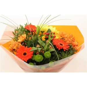Boeket Super Orange 12-14 T