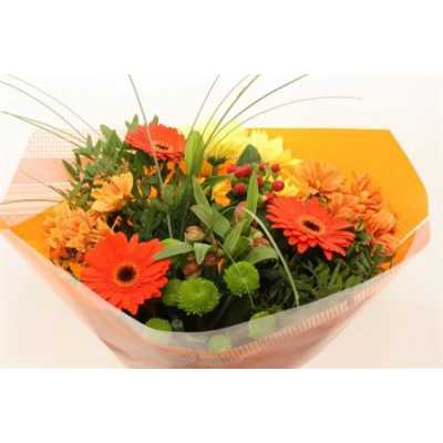 Boeket Super Orange 12-14 T