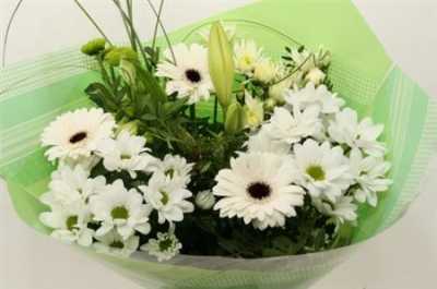 Boeket Super White 12-14 T