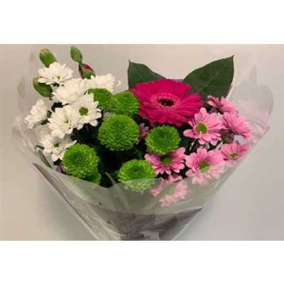 Boeket Wies Lilac 6-7 T