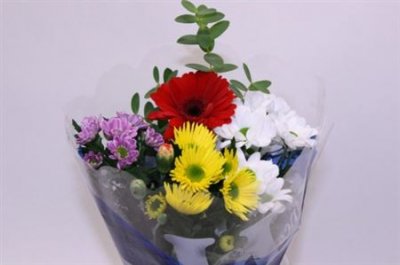 Boeket Wies Mix 6-7 T