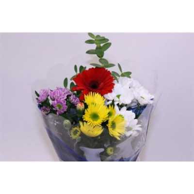 Boeket Wies Mix 6-7 T