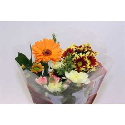 Boeket Wies Orange 6-7 T