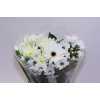 Boeket Wies White 6-7 T