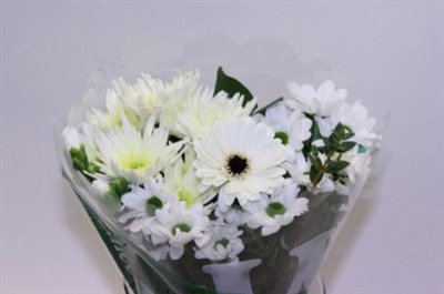 Boeket Wies White 6-7 T
