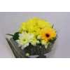 Boeket Wies Yellow 6-7 T