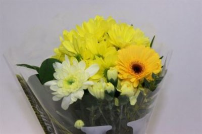 Boeket Wies Yellow 6-7 T