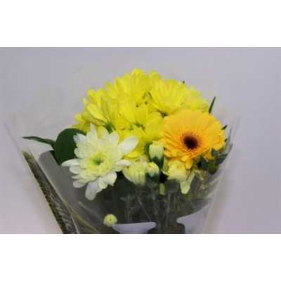 Boeket Wies Yellow 6-7 T