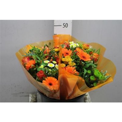 Boeket Xl Orange X2