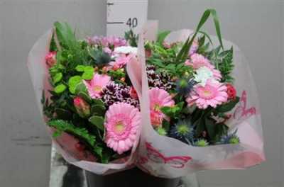 Boeket Xl Pink X2