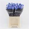 Chr G Antonov Verf Blauw