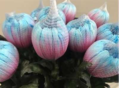 Chr G Antonov Verf Bubblegum Pink Blue