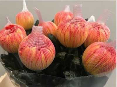 Chr G Antonov Verf Moonshine Orange Pink