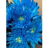 Chr G Topspin Light Blue