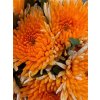 Chr G Topspin Orange