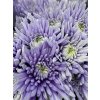 Chr G Topspin Pastel Lilac