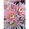 Chr G Topspin Pastel Pink