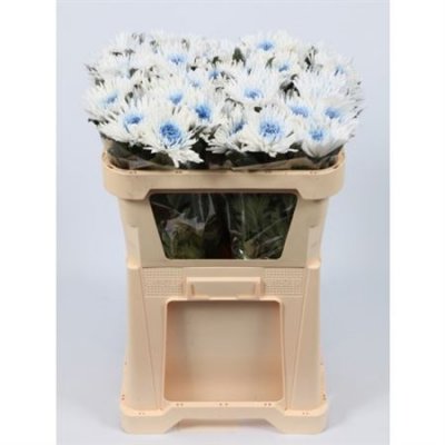 Chr G Verf Ana Blauw Marshmellow