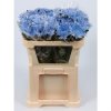 Chr G Verf Ana Blauw Snowy