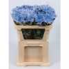 Chr G Verf Ana Blauw Snowy