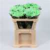Chr G Verf Ana Green Snowy
