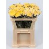 Chr G Verf Ana Yellow Snowy