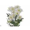 Chr T Euro White