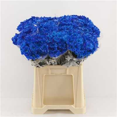 Chr T Verf Baltica Blue