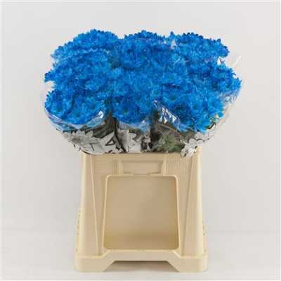 Chr T Verf Baltica Light Blue