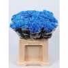 Chr T Verf Euro Blue Glt