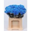 Chr T Verf Euro Blue Glt
