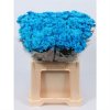 Chr T Verf Euro Blue Pale