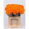 Chr T Verf Euro Orange Glt