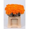 Chr T Verf Euro Orange Glt