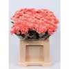 Chr T Verf Euro Pink