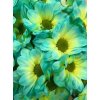 Chr T Verf Kennedy Doublemint Yellow Blue