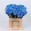 Chr T Verf Reagan Blue