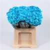 Chr T Verf Reagan Blue Light