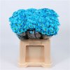 Chr T Verf Reagan Blue Light