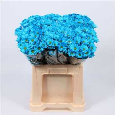 Chr T Verf Reagan Blue Light