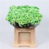 Chr T Verf Reagan Green Glt