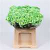 Chr T Verf Reagan Green Glt