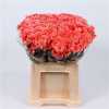 Chr T Verf Reagan Pink Glt